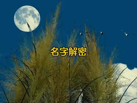名字的有【韬 兰】字会隐藏着什么性格特点呢? #涨知识 #读书 #诗意生活