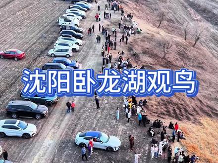 沈阳卧龙湖观鸟看日落 今天做一个沈阳卧龙湖观鸟看日落的攻略,挑干的说,这个观看位置在沈阳康平龙背山的小山坡上。如地图所示,有两条路可以到达这里,第一个走山坡小土路还行不算难开,我推荐第二条路,从山破走另一侧的柏油马路,停好车,走上去也挺方便,而且不压田地,观看时间在下午4点,到6点多点,可以先拍个日落,最后等鸟群
#沈阳卧龙湖 #卧龙湖 #沈阳看日落 #鸟浪 #沈阳游玩推荐