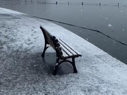 杭州总算痛痛快快的下了场大雪!这才是真正的断桥残雪吗!西湖太美了!#杭州下雪了#西湖雪景 #断桥残雪