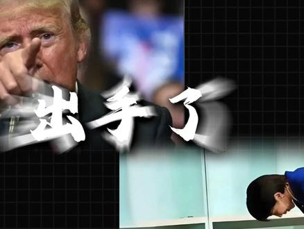 出手了,美国电话日本