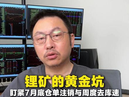 锂矿的黄金坑#碳酸锂 #锂矿 #新能源 #锂 #锂电池