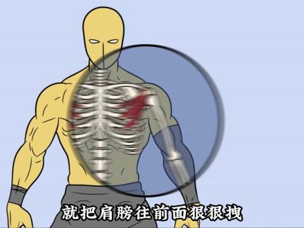 天天做俯卧撑,肩膀不舒服?反而越练越圆肩驼背?别瞎练了!这1个比例➕1个动作,立刻救回你的体态#健身 #俯卧撑 #引体向上 #体态纠正 #圆肩驼背