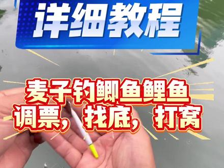 盘车钓超缓水,或静水,钓麦子,钓鲤鱼鲫鱼的,调票,找底,做钓的详细,详细教学。值得新玩家收藏。水域的不同,和钓饵的不同,方法也不同,大家持续关注,后期主播走到不同的水域都会有讲解。#钓鱼新手必备技巧 #钓鱼技巧新手入门 #盘车溪流钓教学 #盘车新手教学