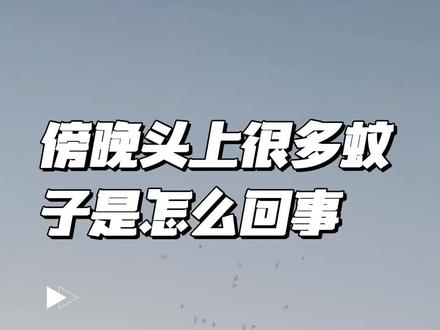 傍晚头顶上很多蚊子跟着是怎么回事