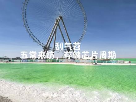 五常访问,存储芯片逻辑 #刮气苕 #宏观