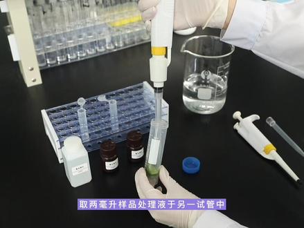 食品安全检测仪快速分析蔬菜中重金属铅含量,同时还可用于大米,粮谷,果品,水产品中重金属含量的快速检测#食品安全检测仪 #食品重金属 #水稻重金属超标 #食品安全 #食品重金属检测 #检测仪器 #热门