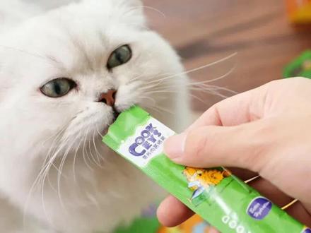 猫咪一天吃一根猫条多吗?猫条应该多久喂一次?#猫咪 #宠物 #吃货猫 #养猫用品推荐 #猫粮推荐