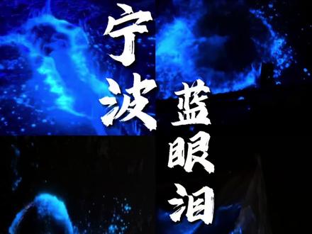 5.22宁波蓝眼泪实况分享 没想到咱宁波也能看到蓝眼泪了#蓝眼泪 #宁波蓝眼泪#荧光海 #出行实况分享计划 #追蓝眼泪