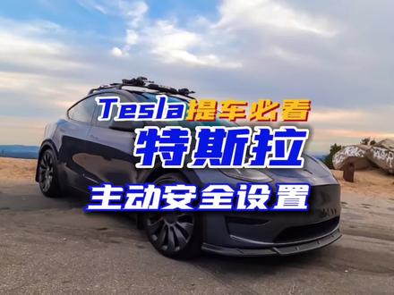 #特斯拉 主动安全设置#modely #model3 #新能源领航计划 #上抖音看新车