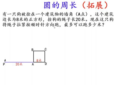 六年级数学,圆的周长--这只狗最多可以跑多少米? #奥数 #小升初数学 #圆的周长