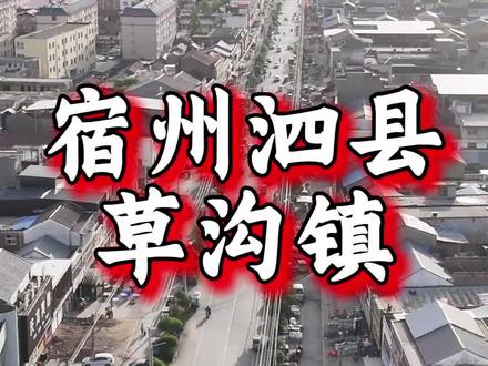 这里是宿州泗县草沟镇,这里有广袤的平原,也有厚重的历史,这里流传着杨家将的传说,大明开国名将胡大海墓也在这里#泗县