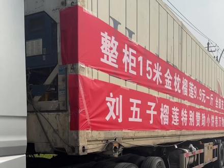 种植榴莲看泰国,销售榴莲看中国东平!
