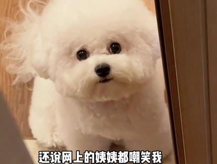 姨姨们,这是尊嘟假嘟?#修勾 #小b熊 #萌宠出道计划 #哈基米