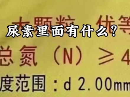 尿素里面有什么? #上热门🔥 #这是个真实的事情 #原创视频 #我的乡村生活 #分享农业知识帮农民增产增收