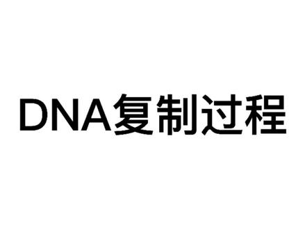 DNA的复制过程#DNA#半保留复制#高中生#必看 #高中生物 #必修二 #遗传与进化 @抖音小助手