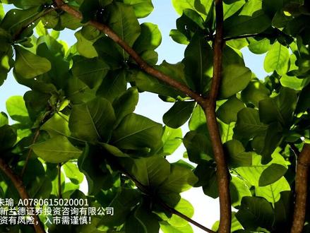 化工逆势的原因找到了! 化工逆势的原因找到了! #大盘 #化工 #财经