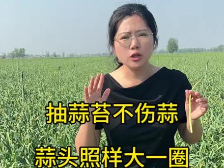 别再瞎抽蒜苔了!掌握正确方法,蒜苔多蒜头还大
#蒜苔 #大蒜 #大蒜种植 #三农 #农村生活 @抖音小助手 @DOU+小助手
