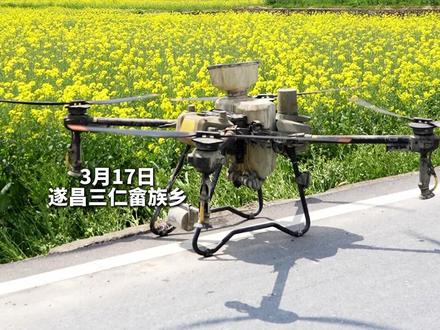 “空中农具”出动! 无人机雾化喷施,防控早春病虫害。网友:无人机“代班”,真香!#无人机打药 #农业 #科技 #油菜花