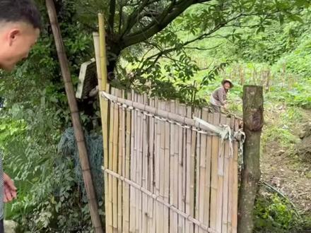 谢谢大家关注我#三农#助农在行动#乡村守护人#乡村生活