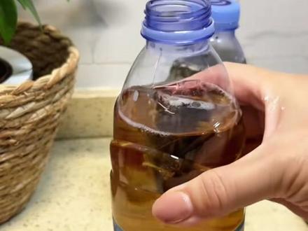 你喝过冷泡茶吗? #科普 #涨知识 #冷知识