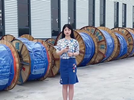 总功率130KW,电压380V,该用多大的电力电缆?电缆厂家教你计算方法来啦!#电线电缆厂家 #电力电缆 #电力施工