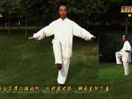 混元24式太极拳 第三式 懒扎衣