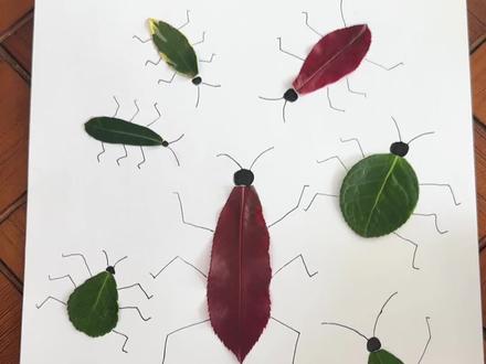 和孩子一起用树叶做一幅昆虫画吧 #亲子手工
