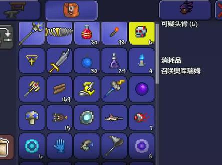 新手开荒30期,教你如何打奥库瑞姆#经典游戏 #单机游戏 #怀旧游戏