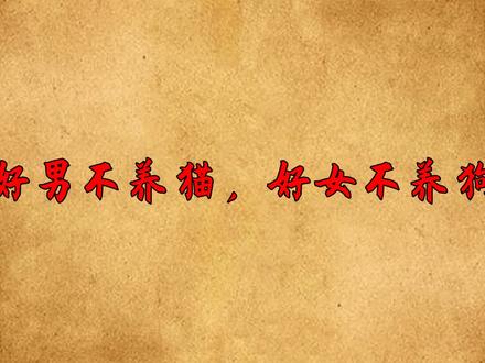 俗语“男不养猫,女不养狗”是何意思?养动物还分性别吗? #俗语 #动物 #人性 #家庭 #福气 #传统文化