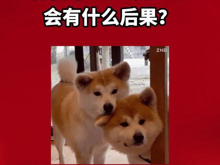 急!合格考忘记涂AB卷会有什么后果?#专科 #合格考#广东@印象高中生活