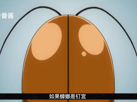 蟑螂美少女的历险记,不得不说,城会玩 #二次元原创 #动漫解说 #蟑螂娘