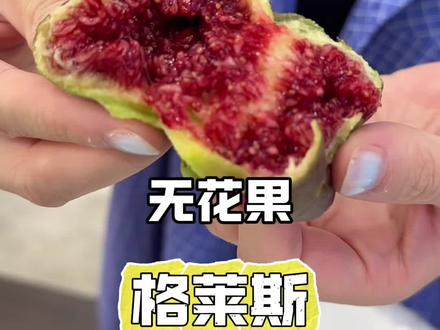 给老婆买的糖包子-格莱斯无花果 #格莱斯 #无花果 #格莱斯无花果