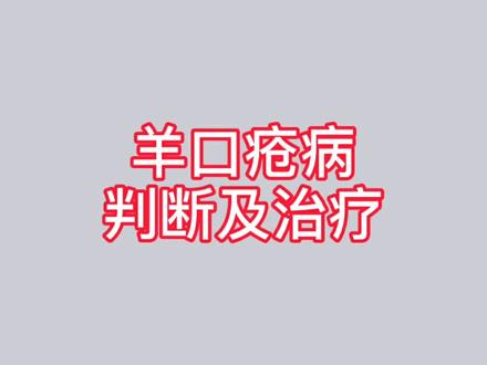 羊口疮病和同样症状的羊痘、口蹄疫的区分以及常规治疗