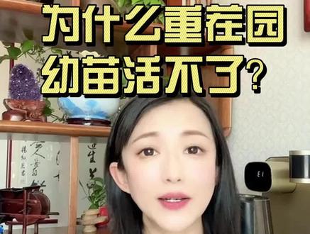 第三节:啥是连作障碍?为什么老果园再种就容易死树? #重茬 #连作障碍 #苹果园管理