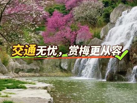 贵州梅园交通攻略开啦 公共交通➕自驾全攻略请收藏#贵州梅园