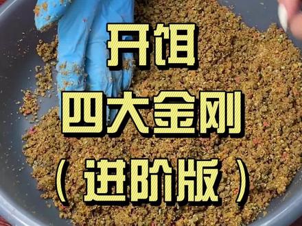 四大金刚怎么用,今天给大家讲讲一个进阶,更简单的用法。#丸九四大金刚 #丸九鱼饵 #钓鲤鱼 #黑坑鲤鱼