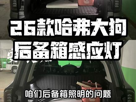哈弗大狗后备灯太暗怎么办?#哈弗大狗 #后备箱感应灯 #后备箱灯 #汽车好物 #感应灯