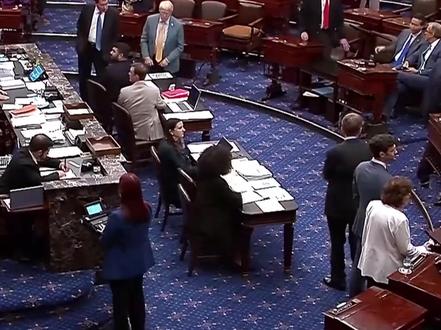 美参议院通过“大而美”法案