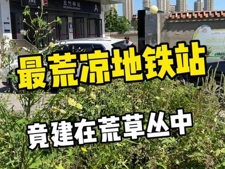一出地铁口我都惊呆了!这个大概是全国最荒凉的地铁站了吧?#天津地铁 #天津