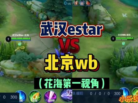 estar花海VS北京wb暖阳,第一视角告诉你,谁才是第一打野? #王者 #kpl #estar花海 #北京wb #北京wb暖阳 #镜fmvp皮肤 #职业选手 #第一打野