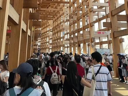 最惨结局?大阪世博会的大屋根要被当柴烧? 建筑师藤本壮介怒斥:这是最差劲的做法!#大阪世博会 #建筑设计 #日站君讲设计 #木结构 #藤本壮介