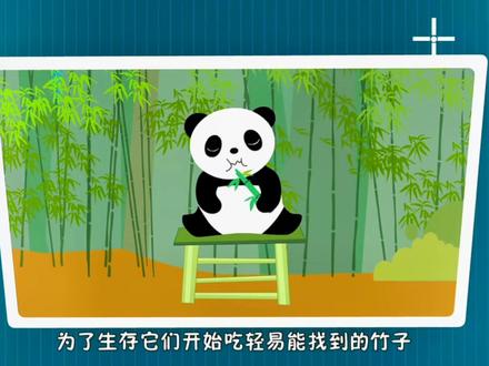 熊猫怎么吃竹子呀?#萌知计划