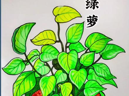 今天开始直播和我一起学画画吧#创意