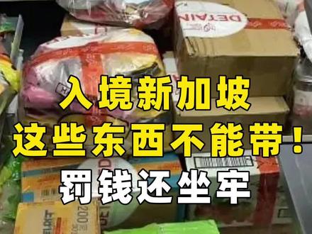 入境新加坡这些东西不能带!罚钱还坐牢!