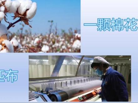 一颗小小的棉花到一匹布的过程:采棉-去籽-纺纱-织布,每一步都是劳动人民的汗水和智慧结晶!!!