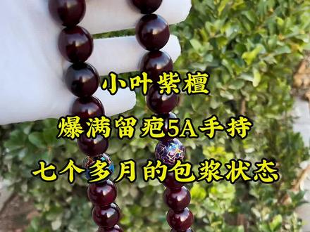 小叶紫檀爆满留疤五a级留疤,七个多月的包浆状态。喜欢小叶紫檀精品一木珠的铁子,记得双击加关注。#小叶紫檀 #精品文玩 #佛珠手串 #源头实力厂家 #只做精品