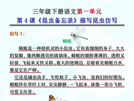三年级下册语文第四课《昆虫备忘录》中8种昆虫仿写小练笔,需要的收藏#三年级 #小学语文 #家长收藏 #小练笔