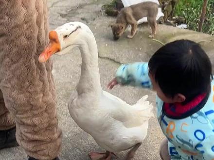 你哥们肯定行 #艾特你想艾特的人