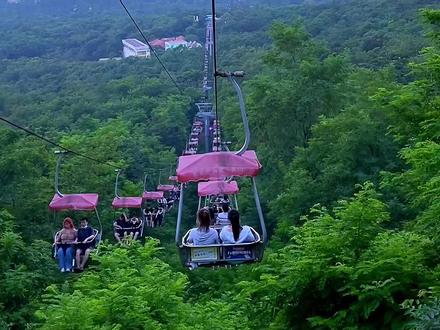 中山公园看樱花,坐索道,单程往返77,快抢!