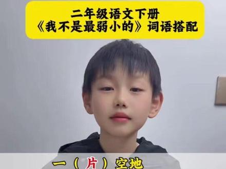 #二年级语文下册 《我不是最弱小的》词语搭配#知识分享 #词语搭配 #好词积累 #小学语文